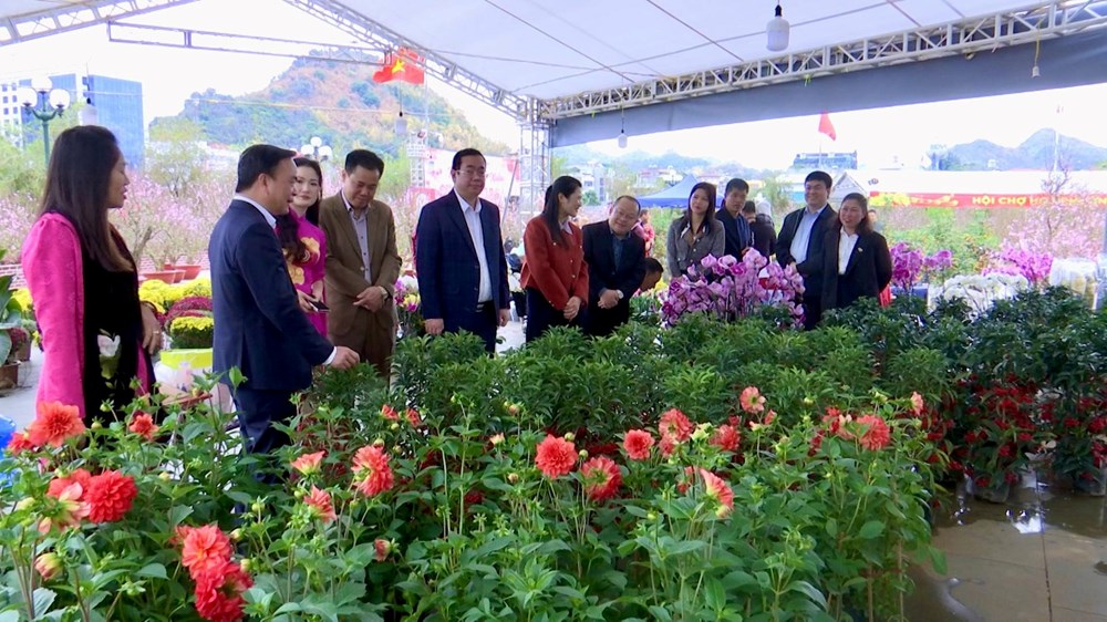 Chợ hoa Xuân phường Tô Hiệu rộn ràng đón Tết Bính Ngọ 2026 - ảnh 2