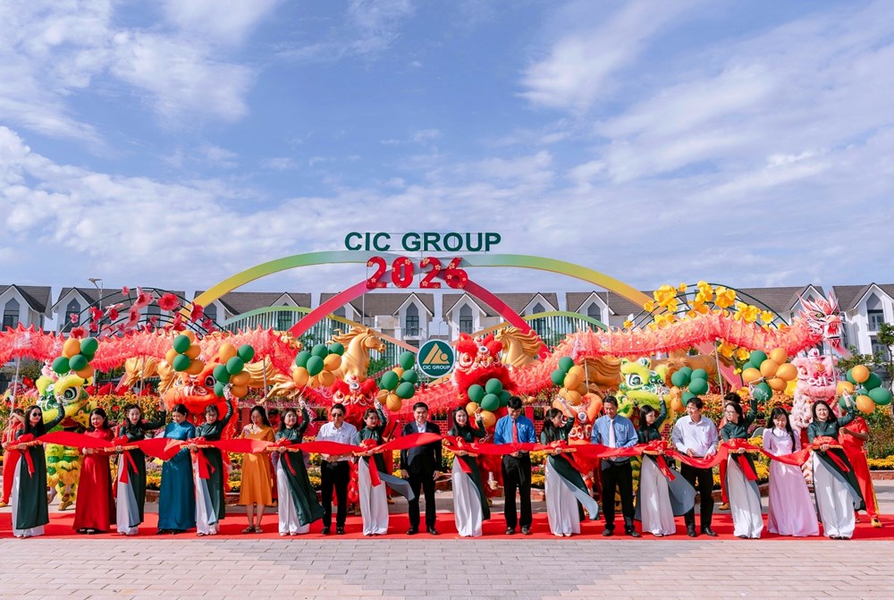 Rực rỡ đường hoa Xuân tại khu lấn biển Tây Bắc An Giang - ảnh 1