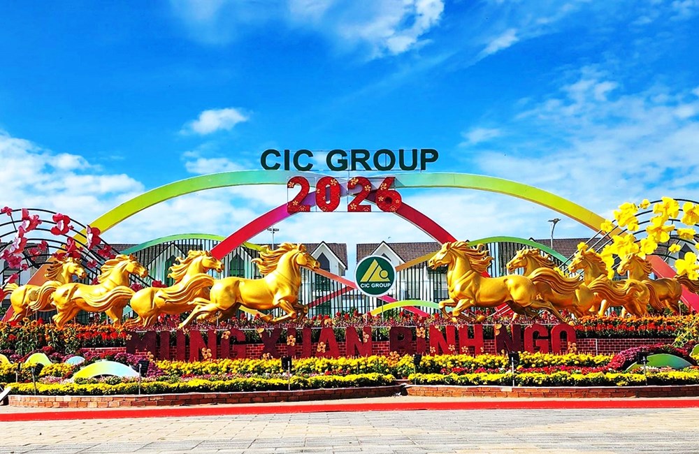 Rực rỡ đường hoa Xuân tại khu lấn biển Tây Bắc An Giang - ảnh 4