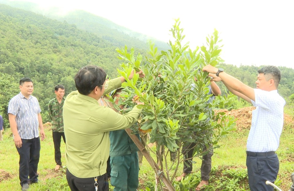 Mùa Xuân đầu tiên sau sáp nhập trên quê hương Chiềng Sinh - ảnh 2