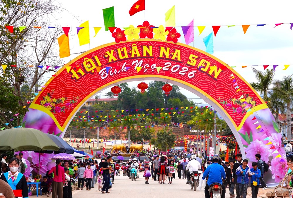 Độc đáo Hội thi đấu bò truyền thống đầu năm mới ở Điện Biên - ảnh 1