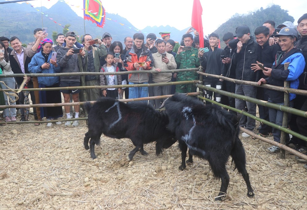 Mộc mạc lễ hội xuống đồng của người Giáy nơi vùng cao Lũng Cú - ảnh 3