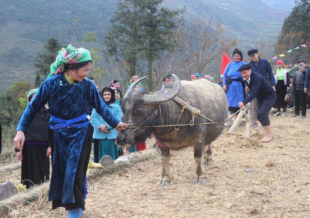 Mộc mạc lễ hội xuống đồng của người Giáy nơi vùng cao Lũng Cú - ảnh 2