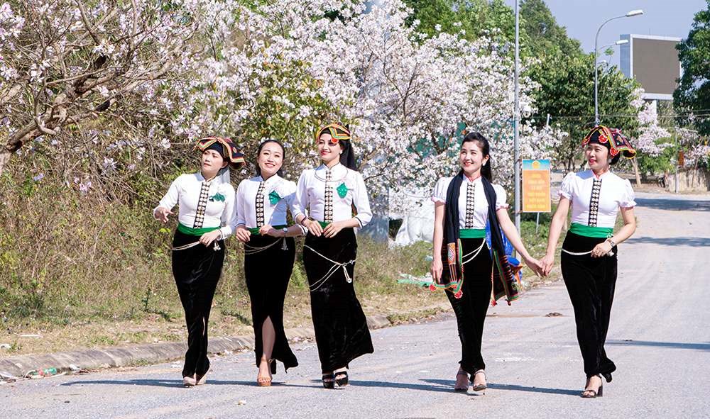 Lễ hội Hoa Ban năm 2026 sẽ diễn ra từ ngày 6 - 12.3 - ảnh 2