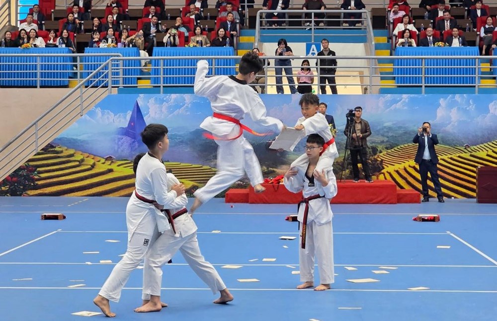 Lào Cai đẩy mạnh phát triển phong trào thể thao vào đời sống nhân dân - ảnh 2