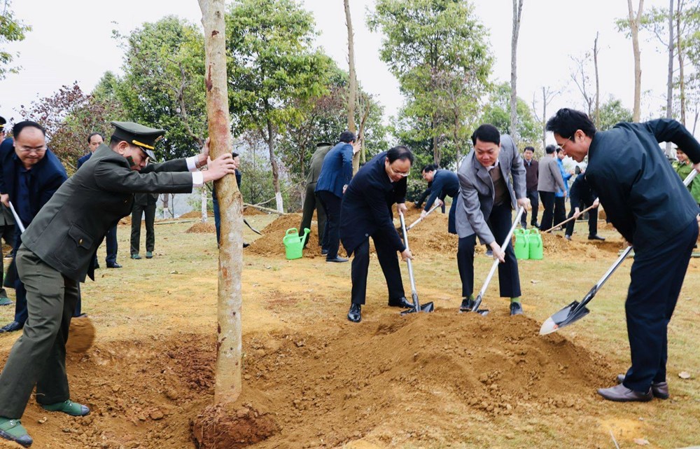 Lai Châu phát động “Tết trồng cây đời đời nhớ ơn Bác Hồ” - ảnh 2