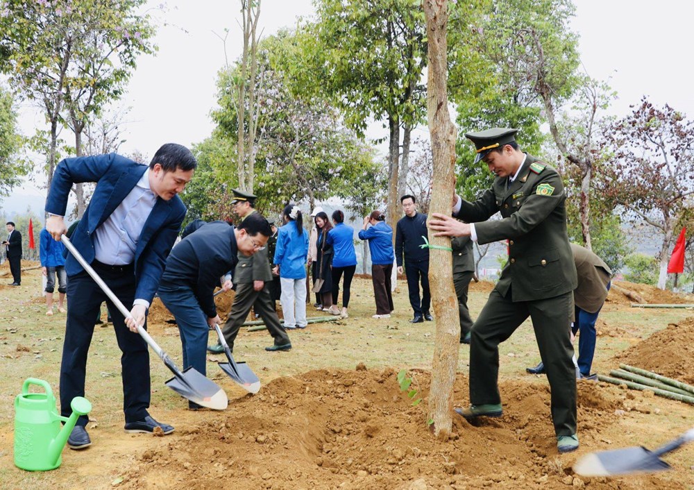 Lai Châu phát động “Tết trồng cây đời đời nhớ ơn Bác Hồ” - ảnh 4