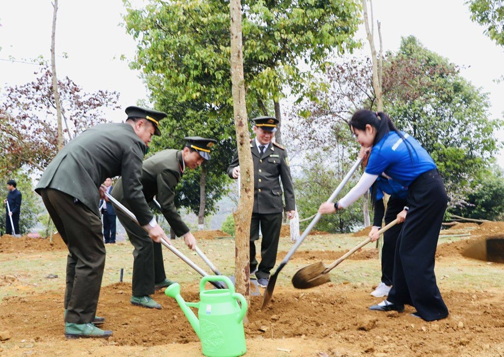 Lai Châu phát động “Tết trồng cây đời đời nhớ ơn Bác Hồ” - ảnh 3
