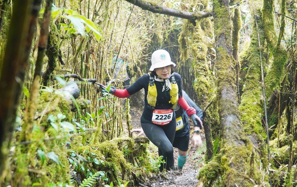 Hơn 300 VĐV tham gia chinh phục đỉnh Tả Liên Sơn cao 2.996m - ảnh 4