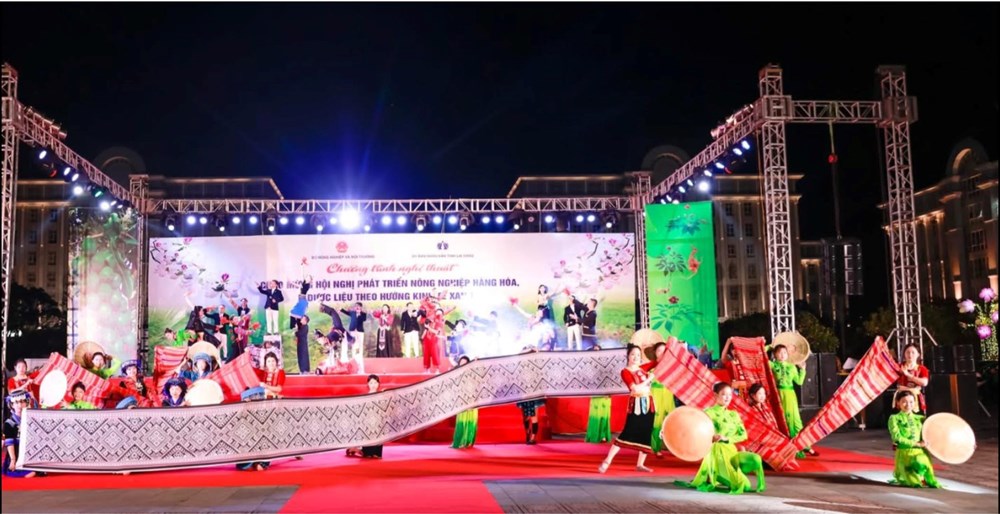 Rực rỡ đêm nghệ thuật “Lai Châu lung linh sắc màu” - ảnh 4