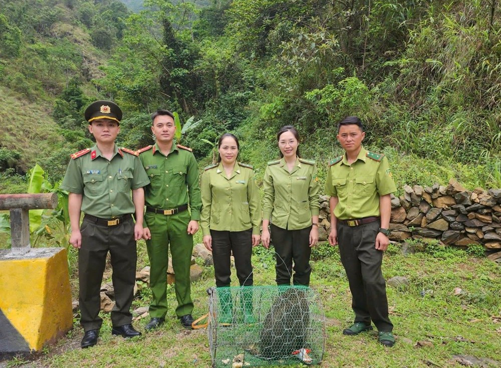 Tiếp nhận và thả một cá thể khỉ vàng quý hiếm về môi trường tự nhiên - ảnh 1