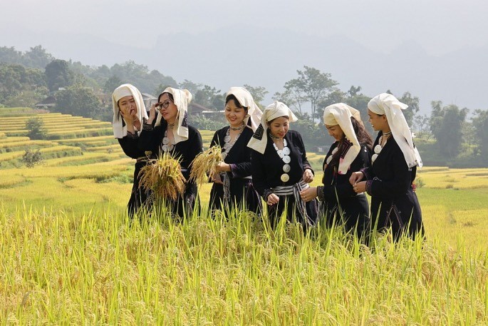 Xây dựng nông thôn Tuyên Quang xanh, hiện đại, giàu bản sắc văn hóa - ảnh 1