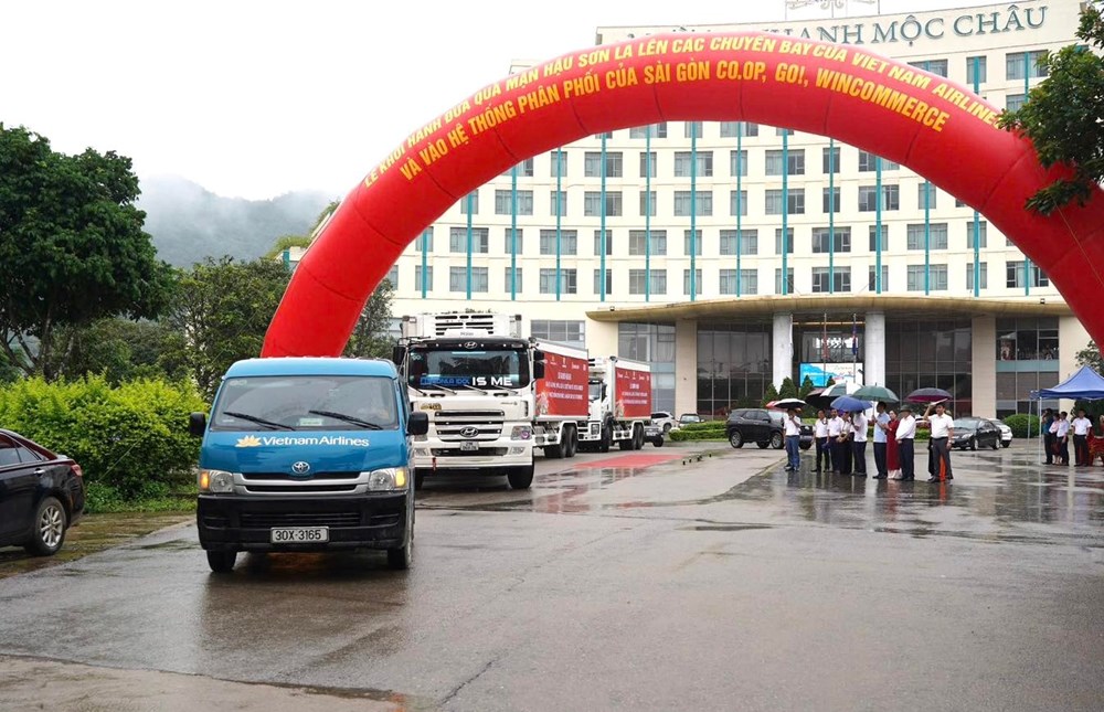 Nâng tầm giá trị mận, lan tỏa thương hiệu nông sản Sơn La  - ảnh 5