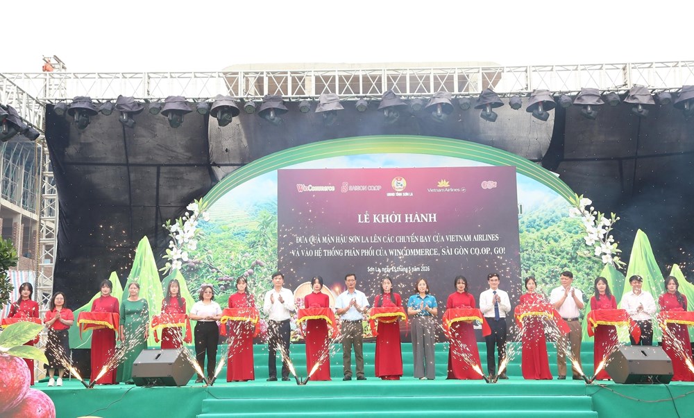Nâng tầm giá trị mận, lan tỏa thương hiệu nông sản Sơn La  - ảnh 1