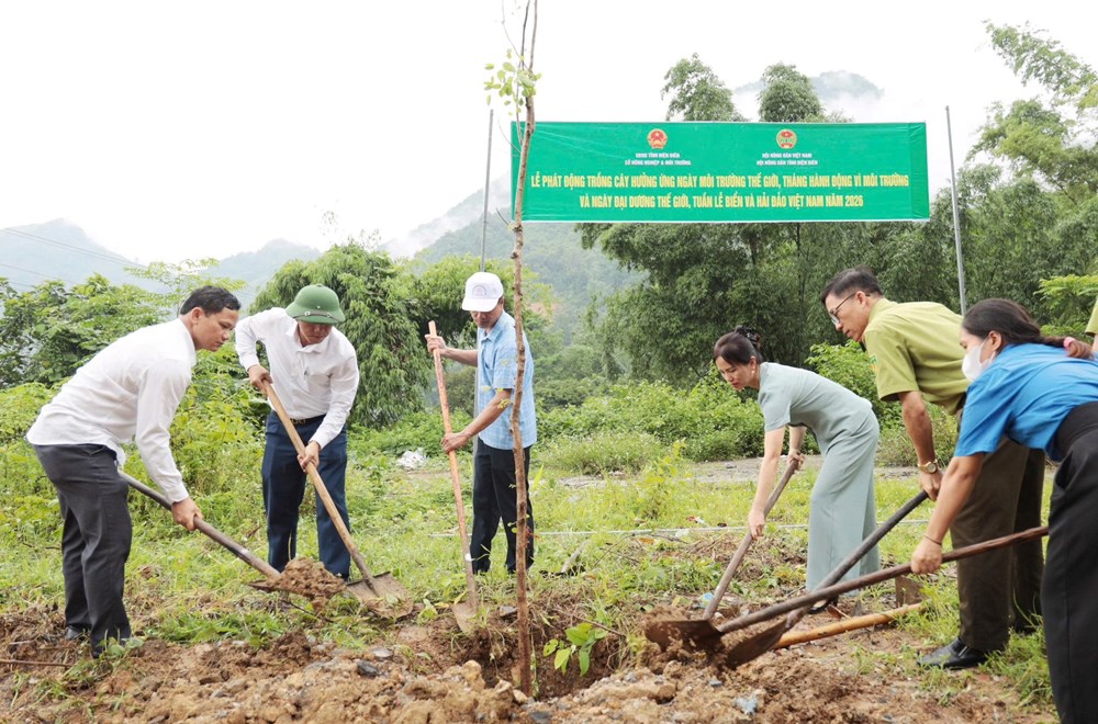 Điện Biên phát động hưởng ứng Ngày Môi trường thế giới năm 2026 - ảnh 1