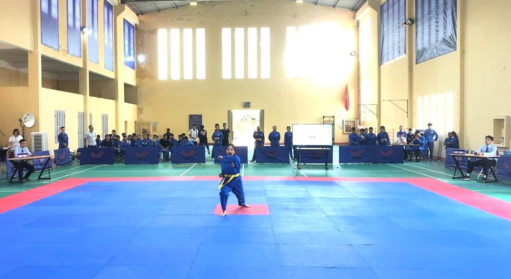 Gần 200 VĐV tham gia Giải vô địch Vovinam tỉnh Lào Cai năm 2026 - ảnh 2