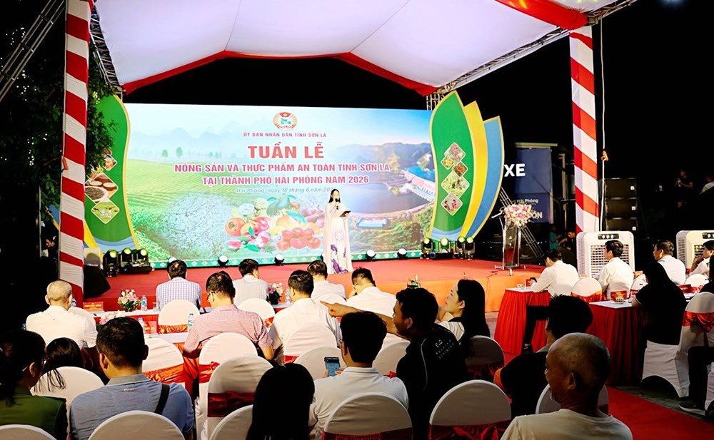Quảng bá nông sản và thực phẩm an toàn Sơn La tại Hải Phòng - ảnh 1
