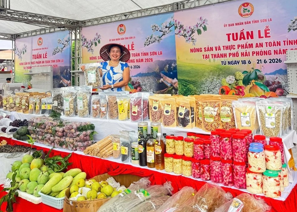 Quảng bá nông sản và thực phẩm an toàn Sơn La tại Hải Phòng - ảnh 2