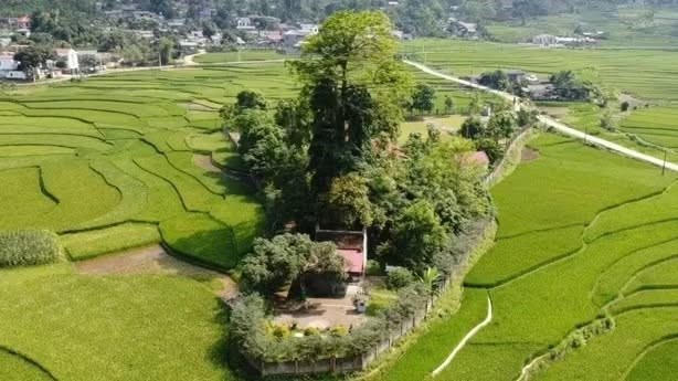 Thêm 3 điểm đến tâm linh ở Lào Cai được xếp hạng di tích cấp tỉnh - ảnh 2