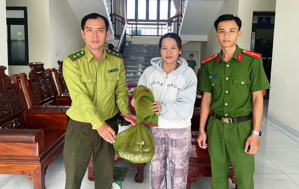Người dân An Giang chủ động giao nộp động vật hoang dã - ảnh 1