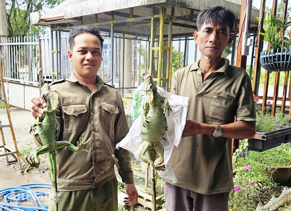 Người dân An Giang chủ động giao nộp động vật hoang dã - ảnh 2