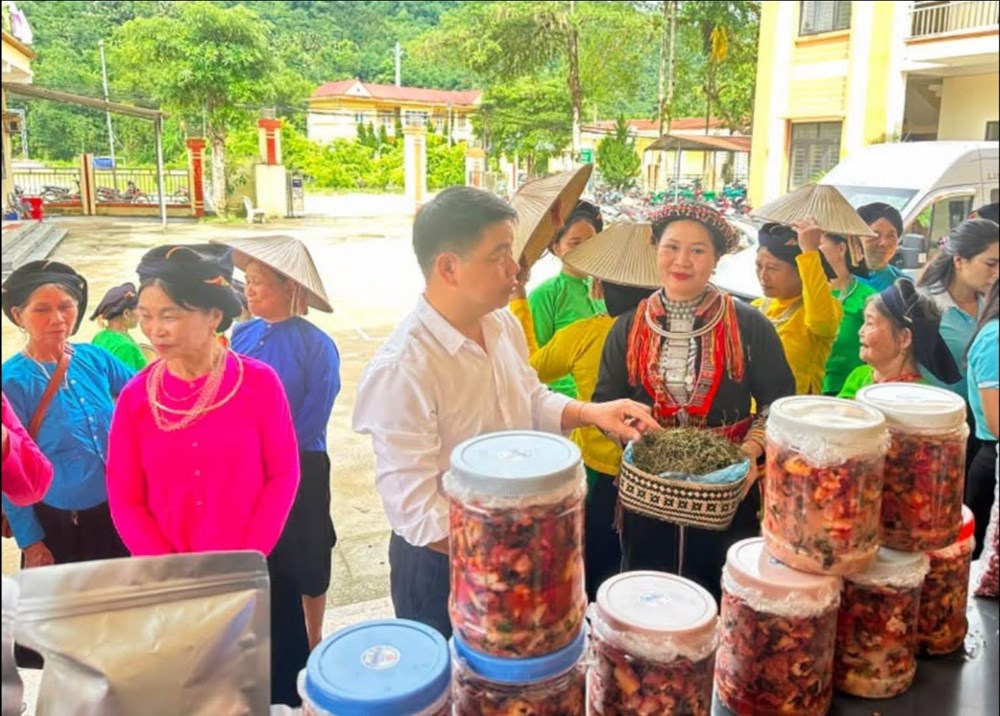 Phụ nữ Lâm Thượng làm nông nghiệp sạch giữ màu xanh cho bản làng - ảnh 6