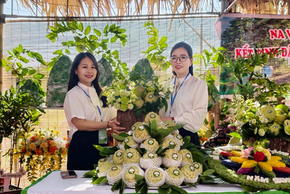 Na và nông sản Lạng Sơn lan tỏa giá trị, thương hiệu vươn xa - ảnh 3