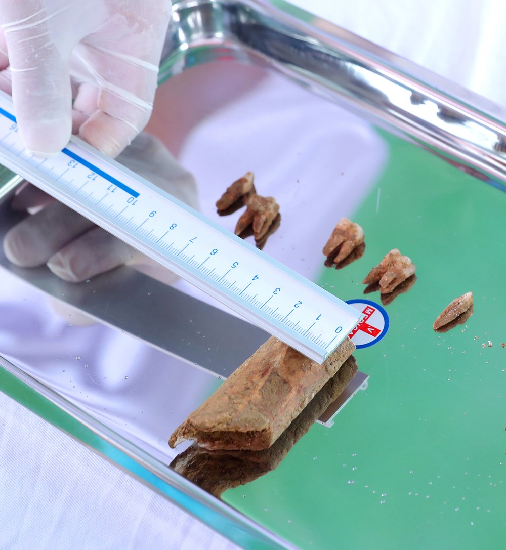 Các anh trở về, hòa vào lòng đất mẹ thân thương - ảnh 23