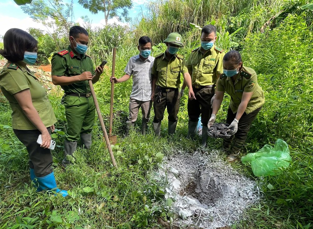 Thái Nguyên: Tiêu hủy 6 cá thể rắn hổ mang là tang vật buôn bán trái phép - ảnh 1