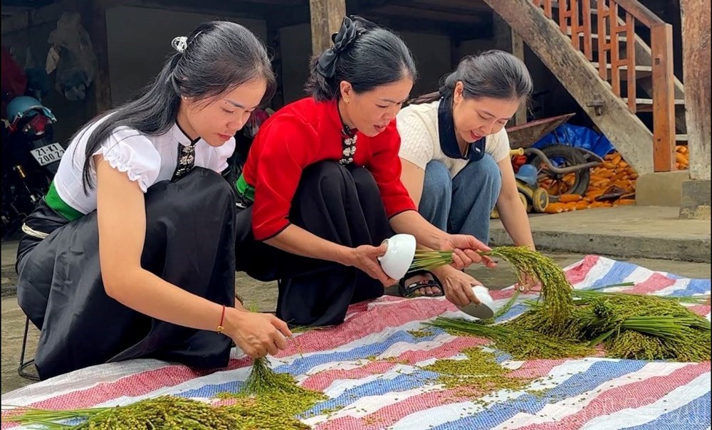 Về Tú Lệ thưởng thức hương cốm mùa thu vàng cùng đồng bào Thái - ảnh 3