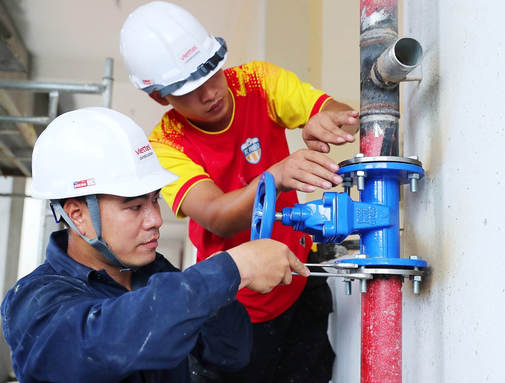 Những người gieo mầm xanh nơi phên dậu Tổ quốc - ảnh 11