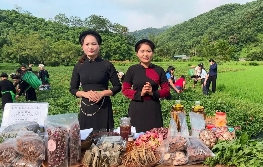 Bí thư, Chủ tịch xã livestream quảng bá nông sản cùng người dân - ảnh 4