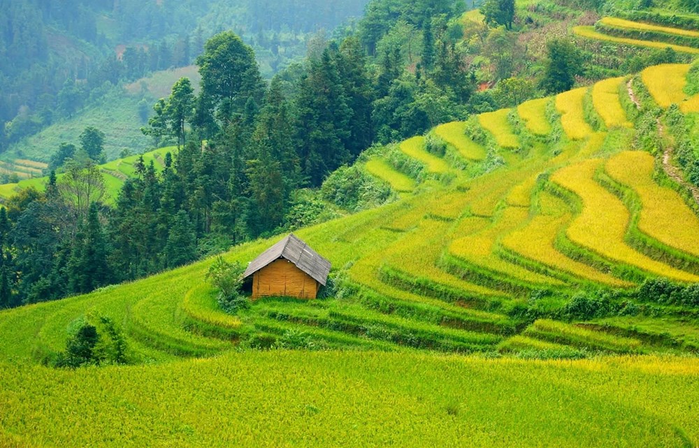Sơn Lương rộn ràng chuẩn bị Lễ hội Mừng cơm mới - ảnh 1