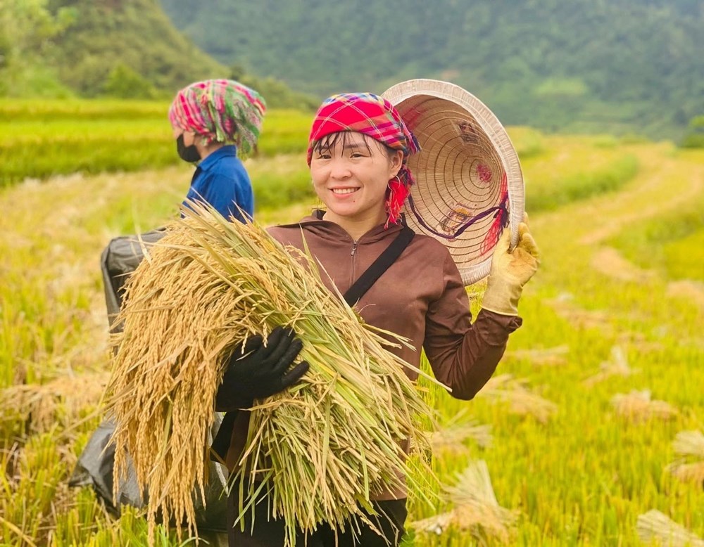 Sơn Lương rộn ràng chuẩn bị Lễ hội Mừng cơm mới - ảnh 2