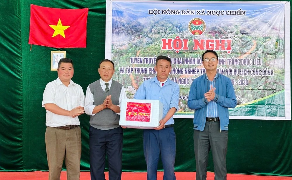 Ngọc Chiến nhân rộng mô hình dược liệu gắn với du lịch cộng đồng - ảnh 3