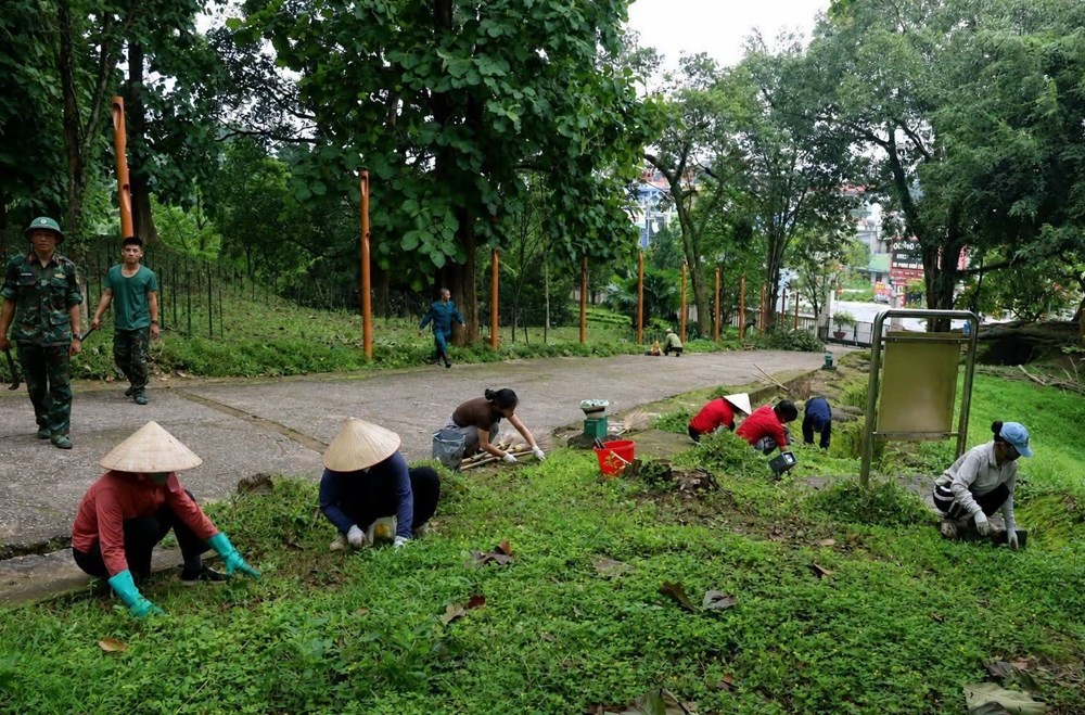 “Chiến dịch Xanh” góp sức gìn giữ di tích Đồi A1 - ảnh 3