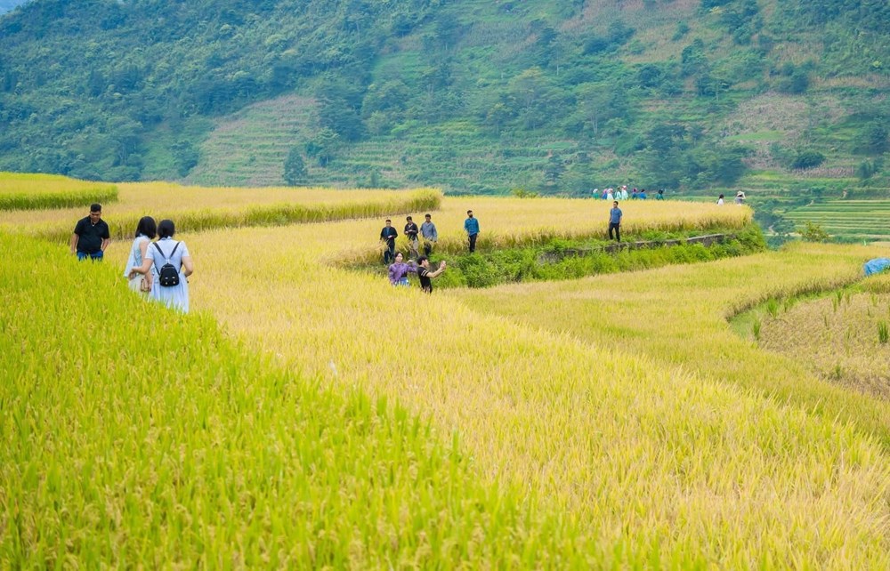 Mùa vàng Sín Chéng rộn vang điệu khèn - ảnh 5
