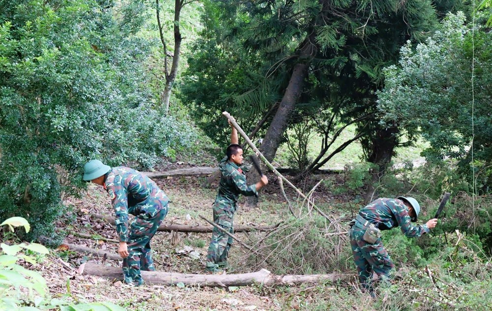 “Chiến dịch Xanh” góp sức gìn giữ di tích Đồi A1 - ảnh 6