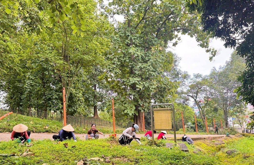 “Chiến dịch Xanh” góp sức gìn giữ di tích Đồi A1 - ảnh 8
