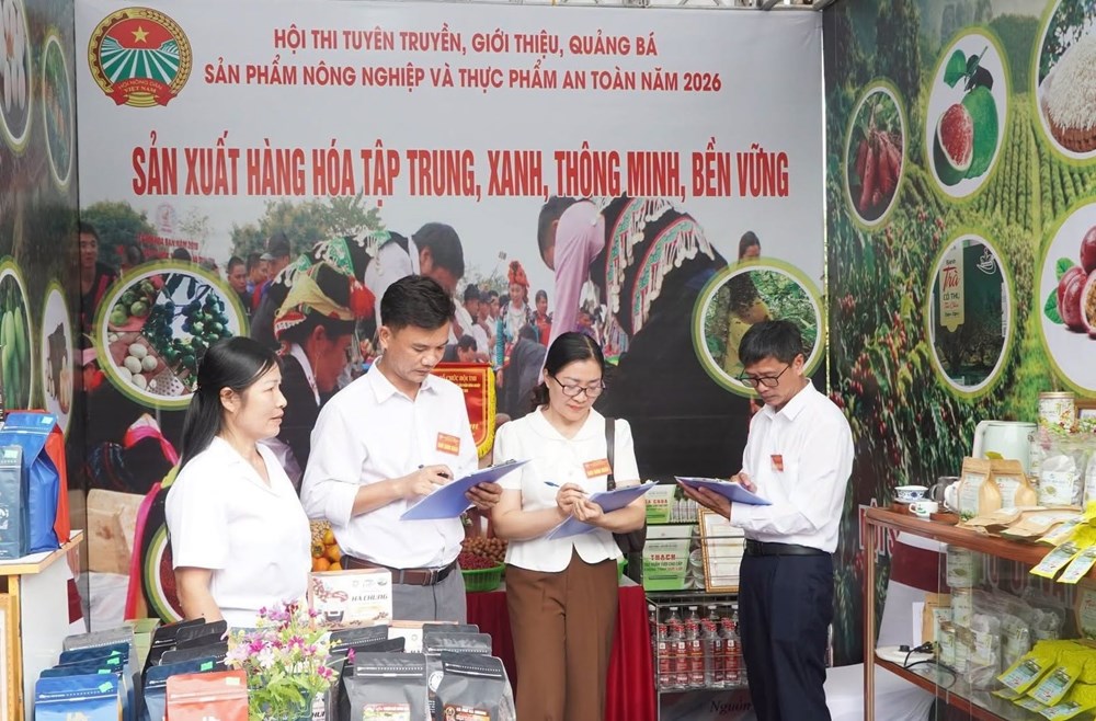Điện Biên quảng bá nông sản an toàn, nâng tầm giá trị sản phẩm - ảnh 1