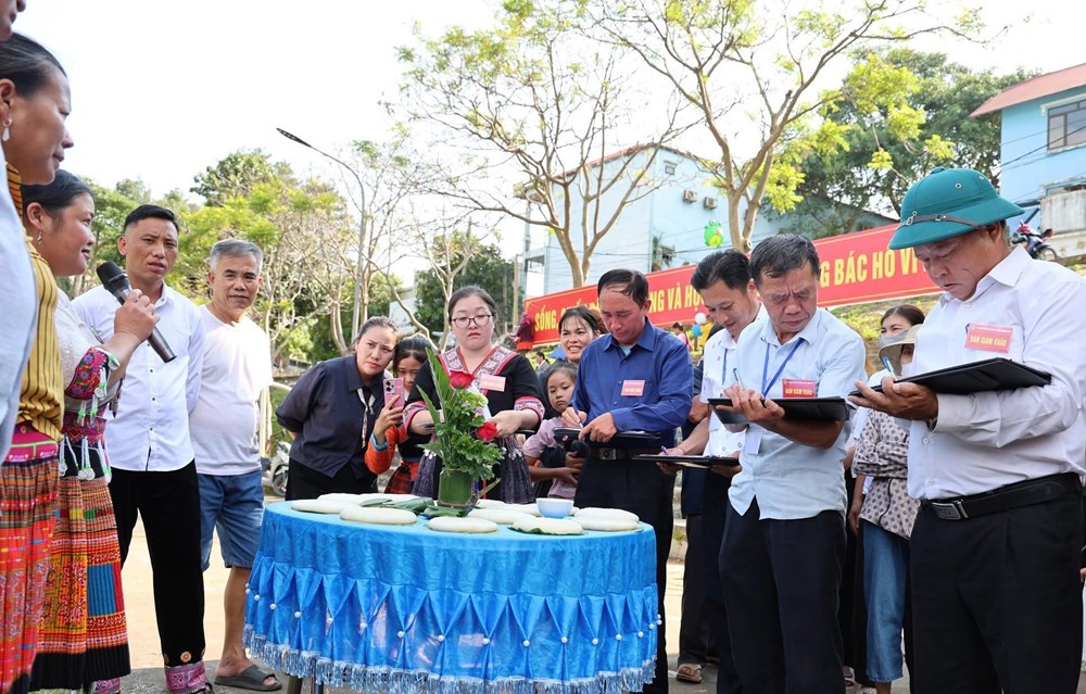 Tết Độc lập trên quê hương Vợ chồng A Phủ - ảnh 7