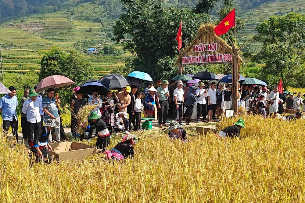 Mùa vàng Tả Lèng rộn ràng sắc màu văn hóa Mông - ảnh 3