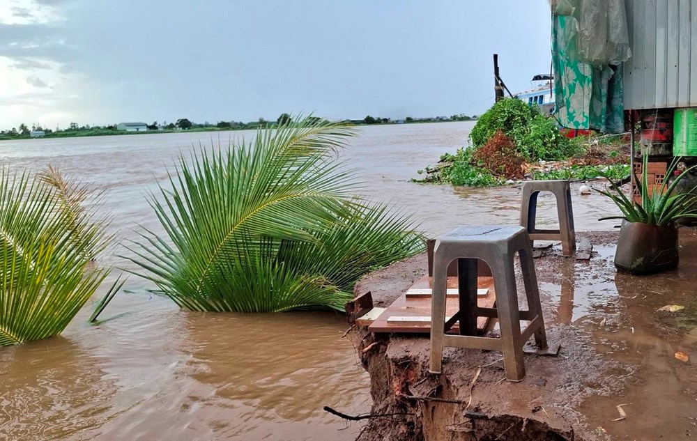 An Giang: Sạt lở đất nghiêm trọng ở xã đảo Mỹ Hòa Hưng - ảnh 2