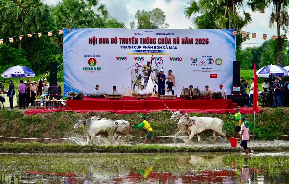 An Giang: Màn so tài kịch tính tại Hội đua bò truyền thống chùa Rô - ảnh 3