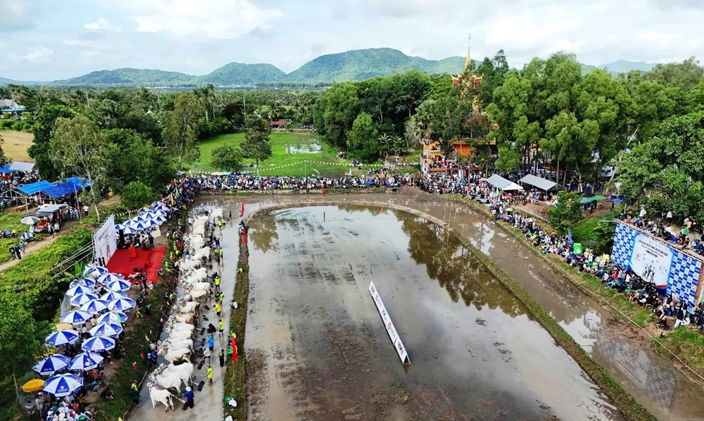 An Giang: Màn so tài kịch tính tại Hội đua bò truyền thống chùa Rô - ảnh 7