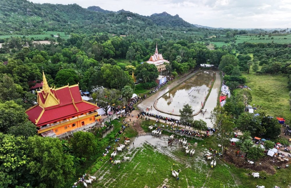 An Giang: Màn so tài kịch tính tại Hội đua bò truyền thống chùa Rô - ảnh 8