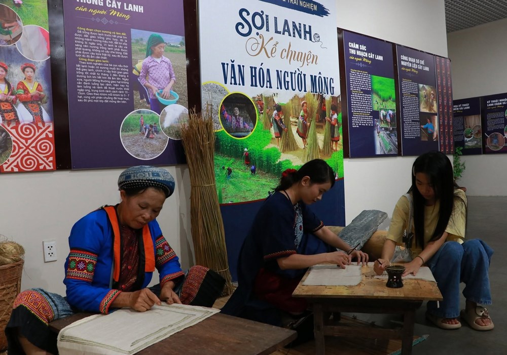 Quảng bá di sản văn hóa Mông qua câu chuyện sợi lanh - ảnh 5