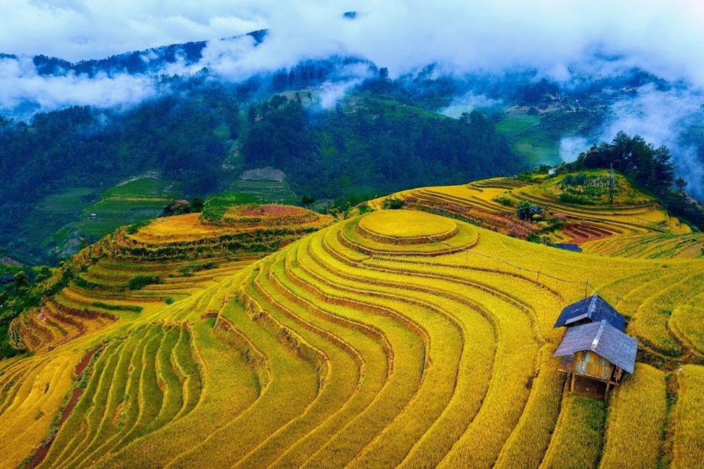 Lào Cai hướng tới xây dựng hệ sinh thái du lịch thông minh - ảnh 1