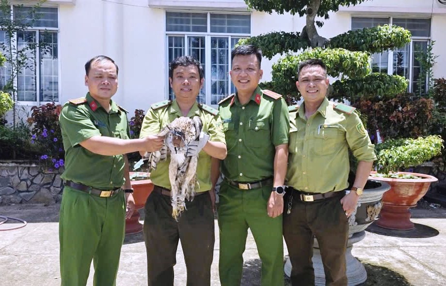 Người dân An Giang tự nguyện giao nộp chim diều hoa Miến Điện và cầy hương - ảnh 2
