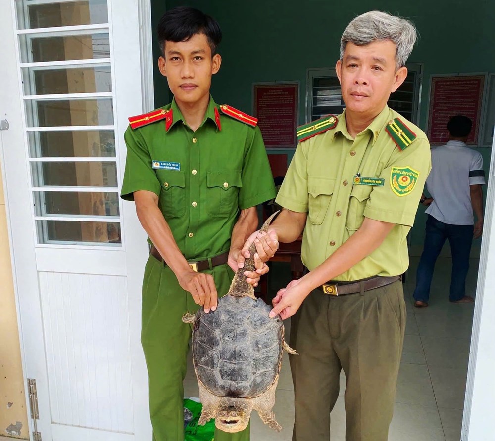 Người dân tự nguyện giao nộp động vật hoang dã, góp phần bảo vệ đa dạng sinh học - ảnh 1